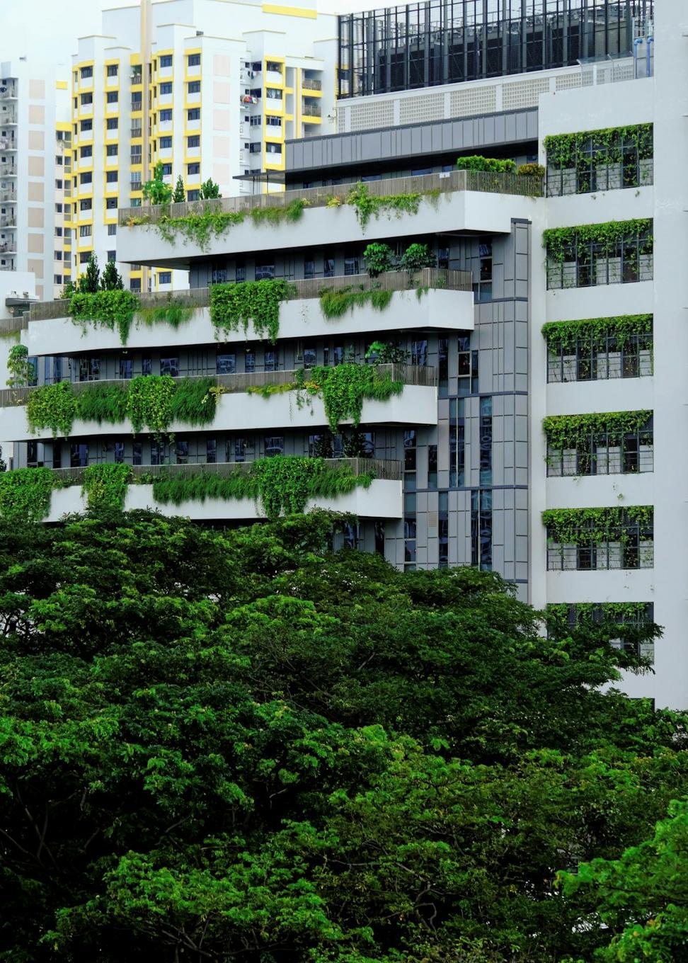 Rooftop terrace