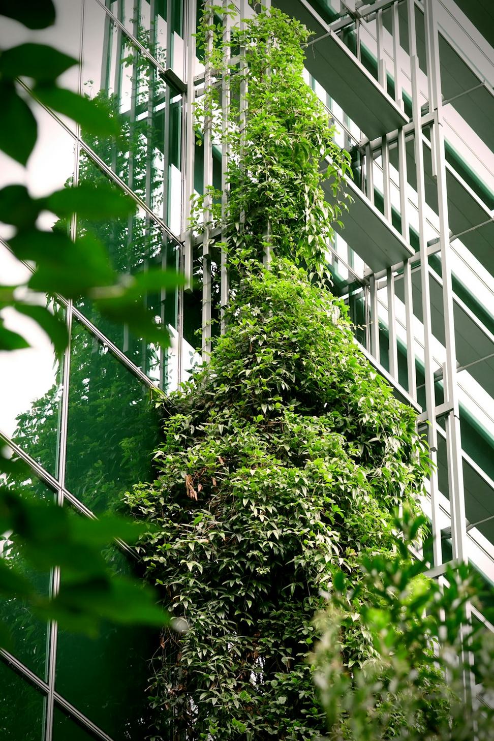 Sustainable Design Solutions